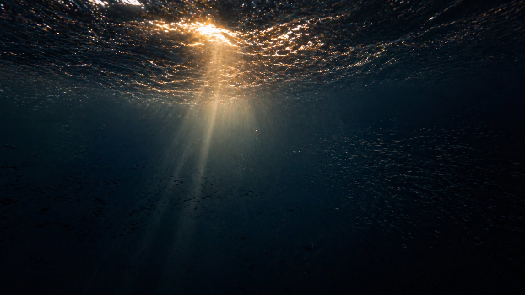 Underwater shot looking up at rippling water surface with golden light penetrating through dark depths