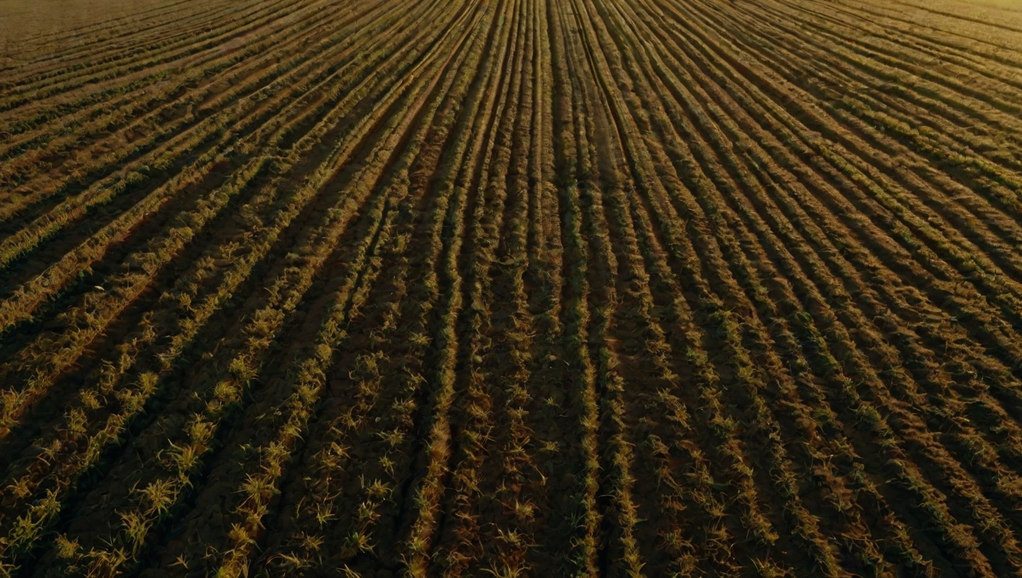 Aerial view of geometric circular crop field patterns
